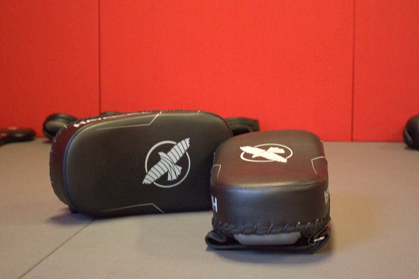 Una lezione di kickboxing e Muay Thai a EqualArmor