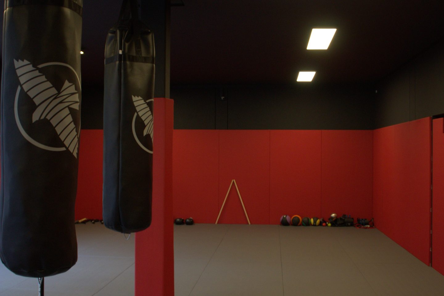 Una lezione di MMA a EqualArmor